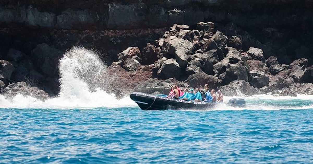 Kealakekua Bay: Snorkel and Coastal Adventure with Lunch | GetYourGuide