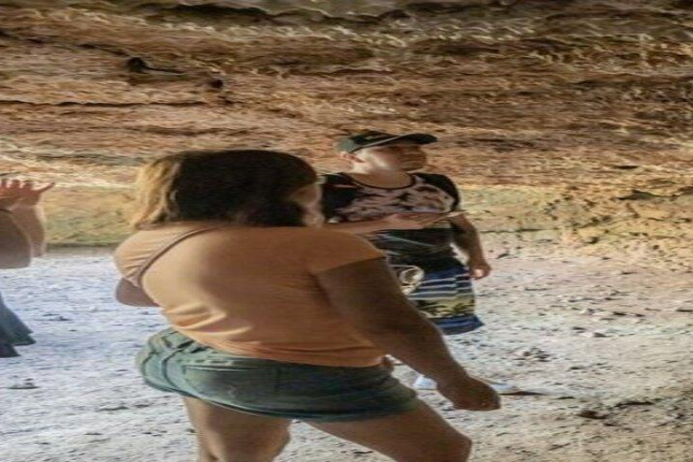 Santa Cruz: Giant Tortoise Watching and Lava Tunnels Tour