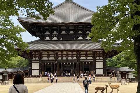 From Osaka/Kyoto/Nara: Customizable Private Tour & Car/Guide
