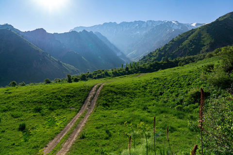 From Tashkent: Amirsoy, Chimgan & Charvak Mountain Day Trip For Local Visitors