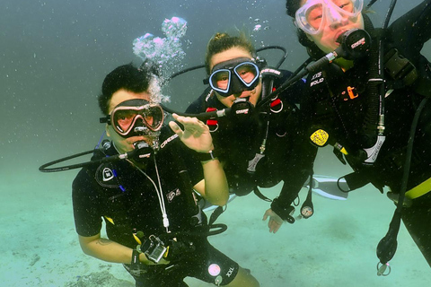 Phuket: SCUBA Tauchtagestour King Cruiser, Shark Point, KDM