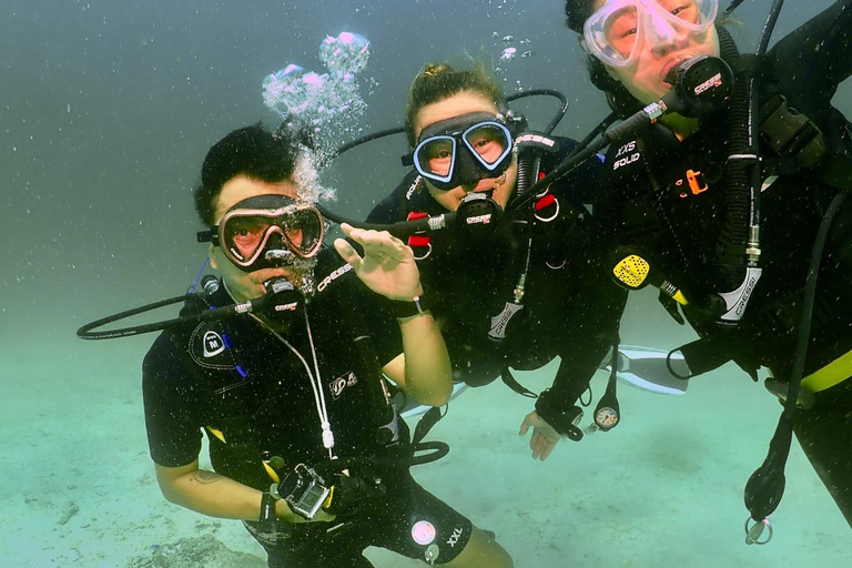 Phuket: SCUBA Diving Day Trip King Cruiser, Shark Point, KDM