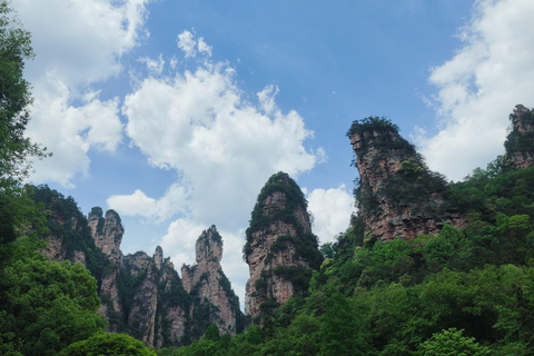 Zhangjiajie: Avatar Forest Park Group Tour or Ticket Big Group Tour with English Guide & Entry Ticket (11-16 ppl)