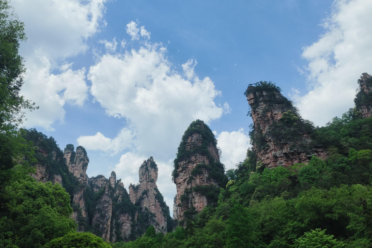 Zhangjiajie: Avatar Forest Park Group Tour or Ticket Big Group Tour with English Guide & Entry Ticket (11-16 ppl)