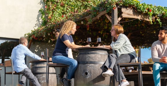 Girona: Vineyard Tour in Calonge with 6 Wine and Oil Tasting
