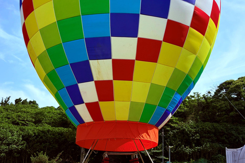 Jeju Trendy Café Tour including Snoopy Garden