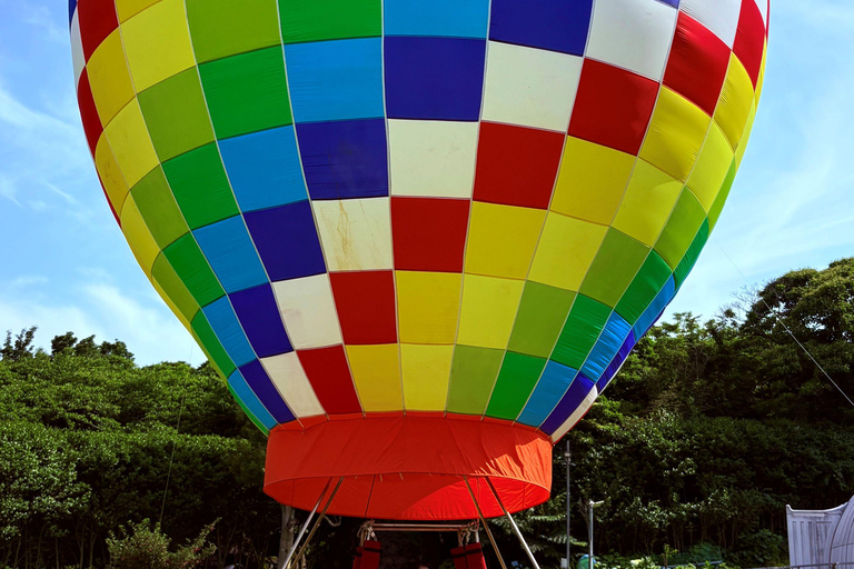 Jeju Trendy Café Tour including Snoopy Garden