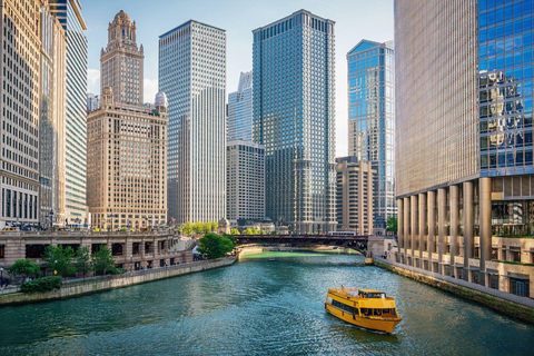 Best of Chicago: Private Walking Tour with a Local Private City Walking Tour - 2Hr
