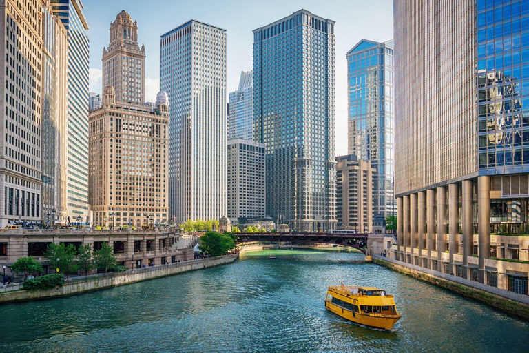 Best of Chicago: Private Walking Tour with a Local Private City Walking Tour - 2Hr