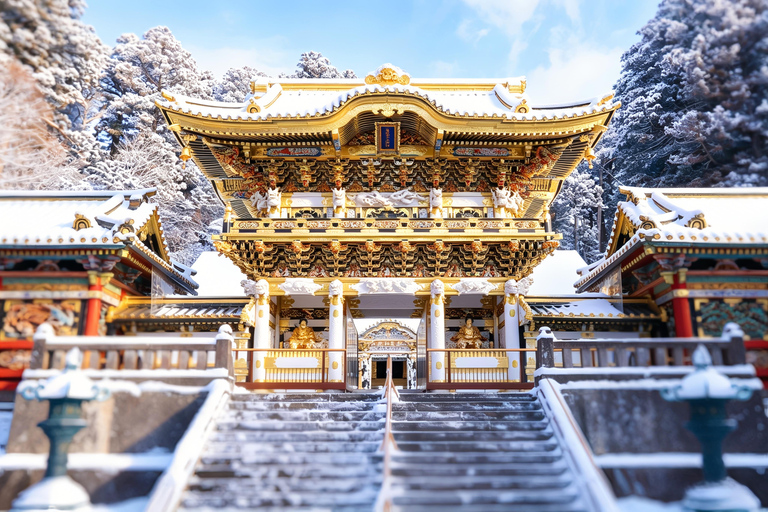 Nikko Small Group: Hotel Pickup, Kegon Falls & Toshogu Private Sightseeing Tours