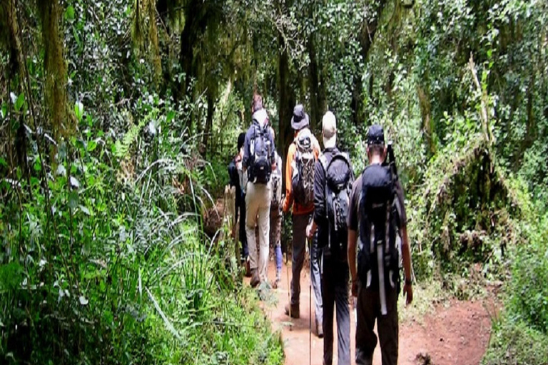 KILIMANJARO CLIMBING TOUR: 8-DAY MARANGU HIKE EXPERIENCE