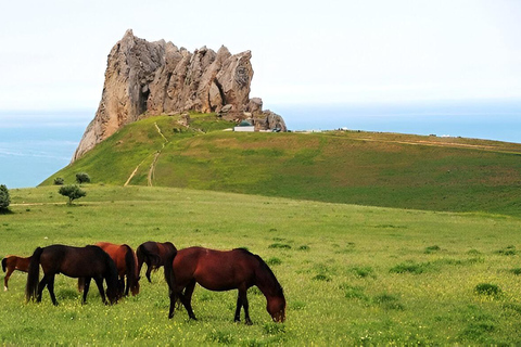 Baku:Guba,Shahdag and Candy Cane Mountain Lunch included Guba & Shahdag Tour