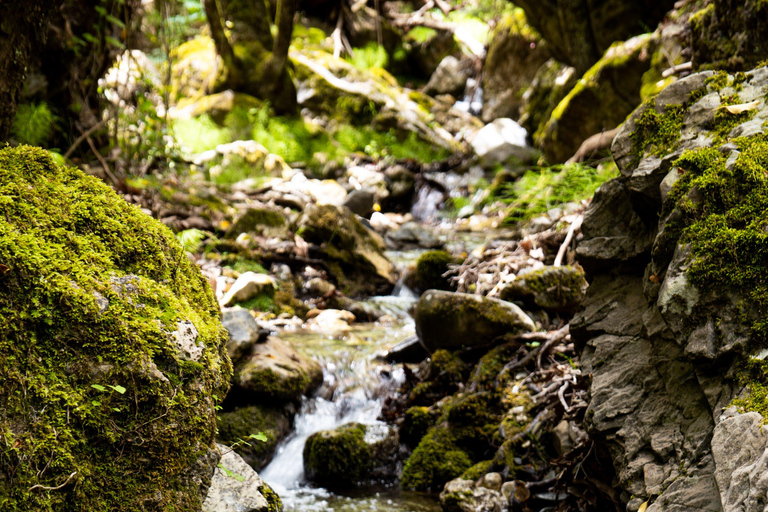 La Cresta de Parnon: caminos antiguos, naturaleza y pueblos locales