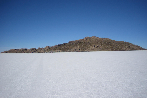 Uyuni zoutvlakte en Incahuasi eiland 5 dagen