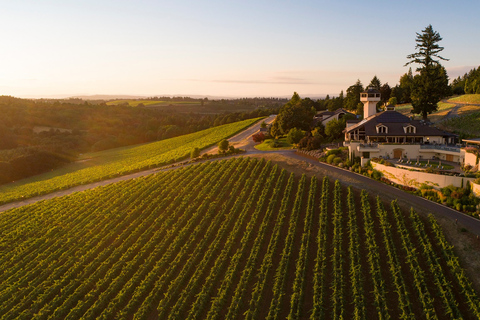 Tour del vino della Valle di Willamette: Un viaggio per i sensi