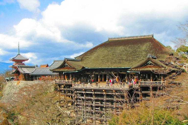 kyoto tour privado guiado con recogida