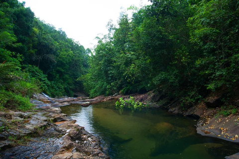 Sri Lanka : 10 jours de loisirs