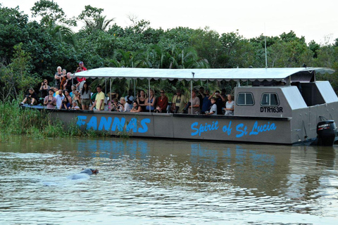 Demi-journée de croisière en bateau pour les hippopotames et les crocodiles à Isimangaliso ou Richards Bay