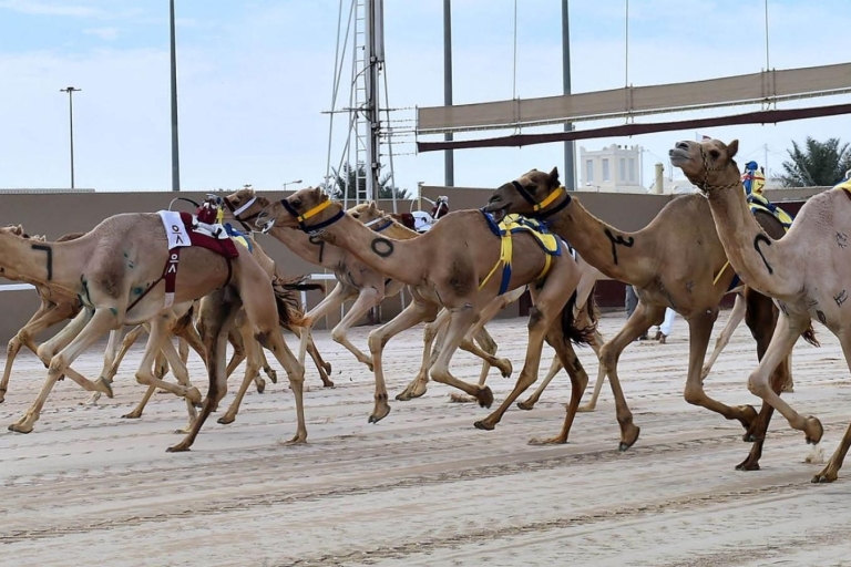 Doha: Sheikh Faisal Museum and Camel Racetrack Tour