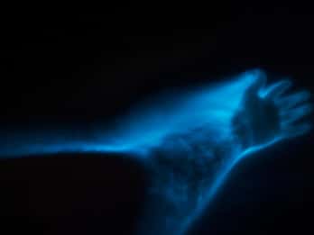 Orlando: Spływ kajakowy lub paddleboarding z bioluminescencją