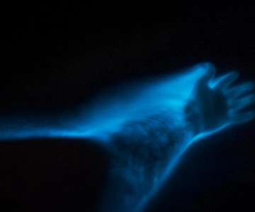 Orlando: Bioluminescentie helder kajakken of paddleboarden