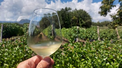 Sicily: Etna, typical products and wine tasting in the winery with pick-up