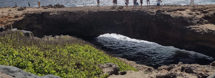 Visite privée des points forts d'Aruba