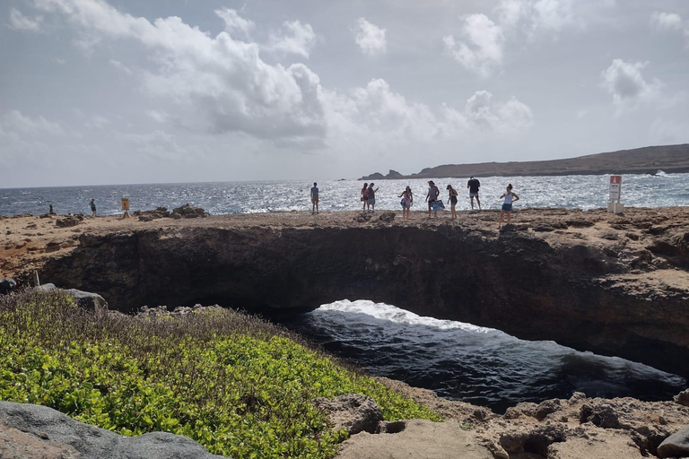 Destaques da excursão particular de Aruba em ônibus aberto