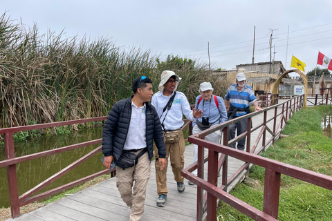 Lima silvestre: visita guidata a un rifugio naturale nel fiume Rímac