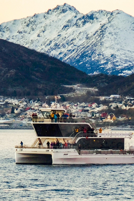 Environmental Friendly Whale Watching Day Tours | Iceland Travel