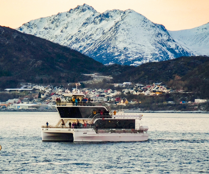 Tromsø: Observação de Baleias em Catamarã Híbrido