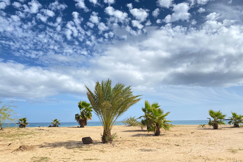 From Praia: Santiago Highlights Tour for Cruise Passengers - half-day tour