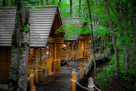 Hokkaido: Zoológico de Asahiyama, Cascada de Shirahige, Día de Ningle Terrace