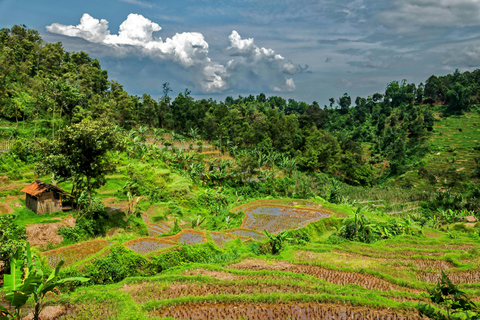 Yogyakarta: Borobudur Climb-Up Selogriyo Rice Field Trekking