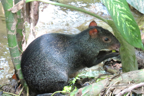 Tuxtla: ZooMAT Guided Tour with Hotel Pickup