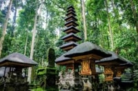 Del norte de Bali, Tanah Lot, Sangeh Forest y Templo Ulun Danu - Housity