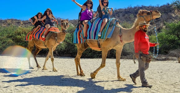 Los Cabos: Camel Ride in the Canyon & Thrilling Water-Slides