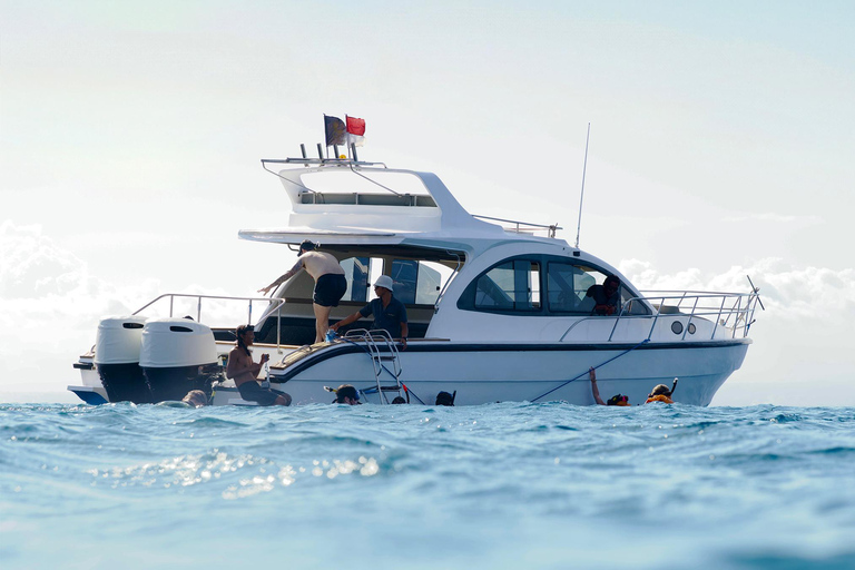 From Bali: Nusa Penida Private Snorkeling Tour with Lunch Shared Boat Trip with Meeting Point at Sanur