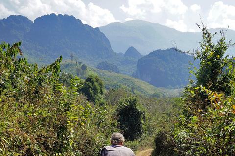Luang Prabang: E-Mountainbike Tour with Waterfall & Lunch