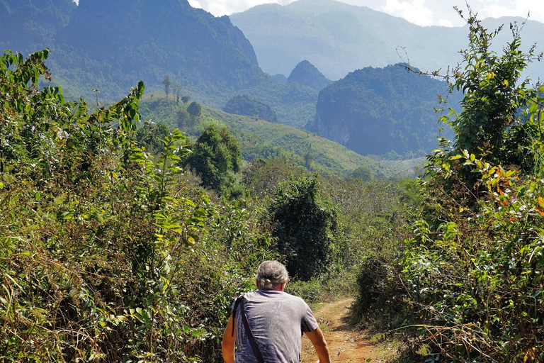 Luang Prabang: E-Mountainbike Tour with Waterfall & Lunch