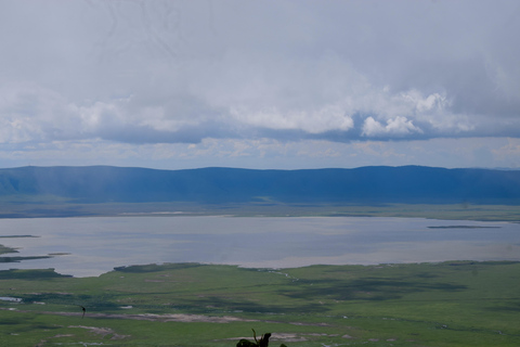 Arusha: Ngorongoro Crater Full-Day Safari Ngorongoro Crater: Full Day Safari