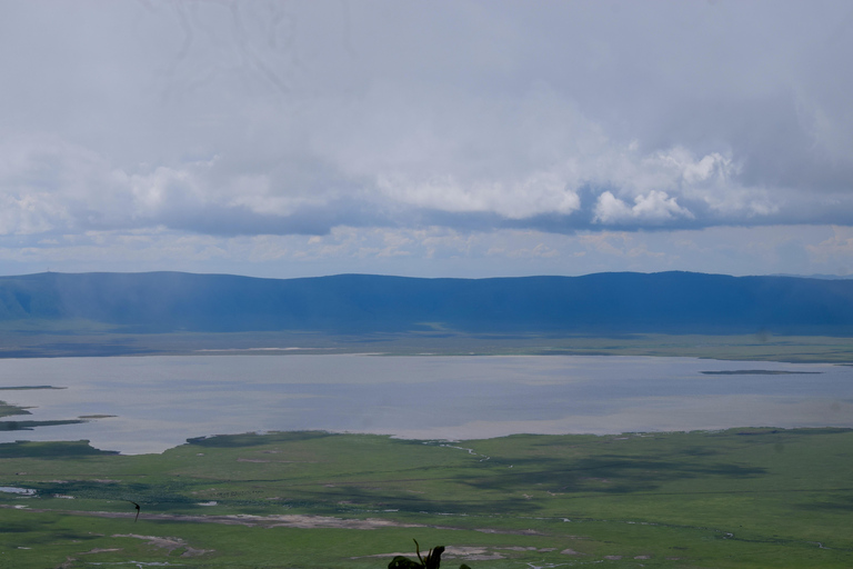 Arusha: Ngorongoro Crater Full-Day Safari Ngorongoro Crater: Full Day Safari