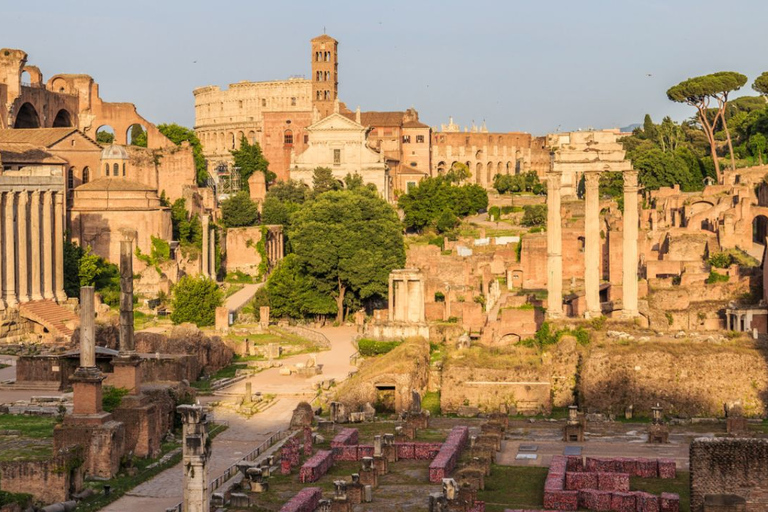 Walk the Arena Floor: The Colosseum via the Gladiator’s Gate