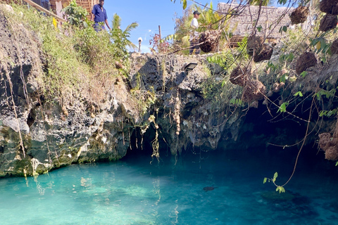 Zanzibar Kizimkazi:Salaam Cave swim sea turtles and transferTransfer from Stone Town : Afternoon