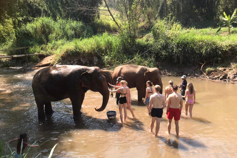 Chiang Mai: Doi Inthanon Park Vandring &amp; Elefanternas fristadChiang Mai: Doi Inthanon nationalpark &amp; elefanternas fristad