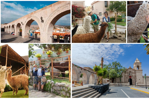 From Arequipa: Countryside Sightseeing Tour with Local Guide