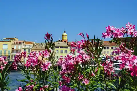Saint-Tropez: Express Walk with a Local in 60 minutes