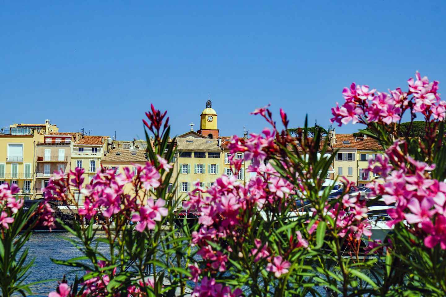 Saint-Tropez: Stutt gönguferð með heimamanni