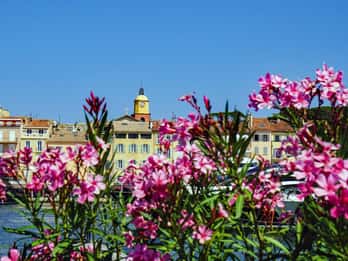 Saint-Tropez: Express-Spaziergang mit einem Einheimischen in 60 Minuten