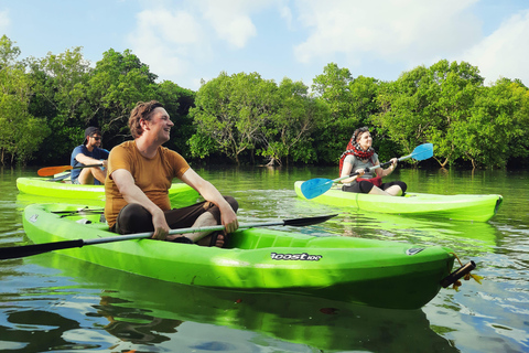 Zanzibar: Unik guidad mangrovetur med SUP eller kajak